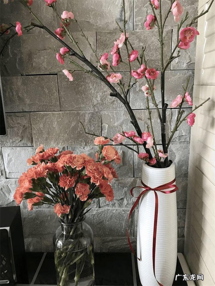 开门见屏风好吗 开门见屏风好吗大全