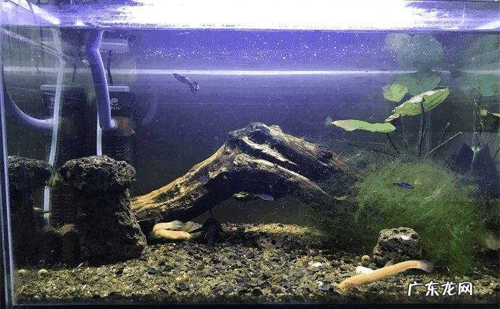 开门见屏风好吗 开门见屏风好吗大全