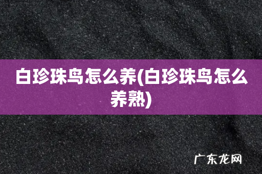 白珍珠鸟怎么养熟 白珍珠鸟怎么养