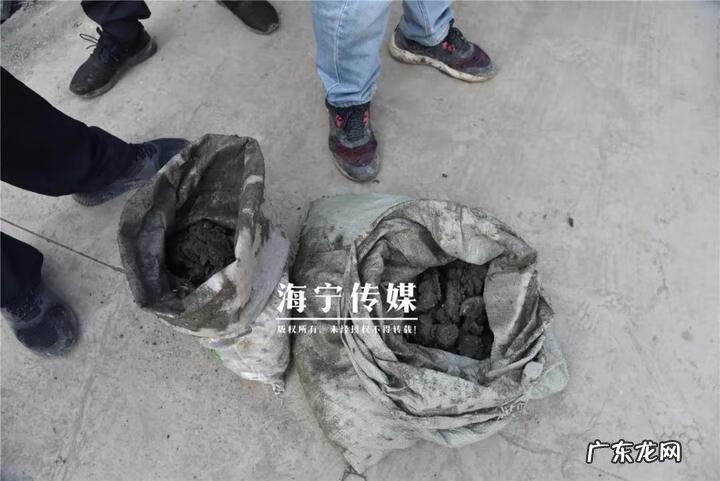 海宁风水凌晨凯