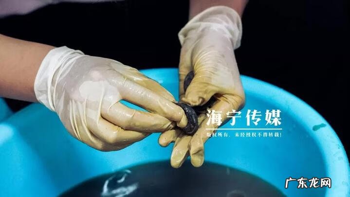 海宁风水凌晨凯