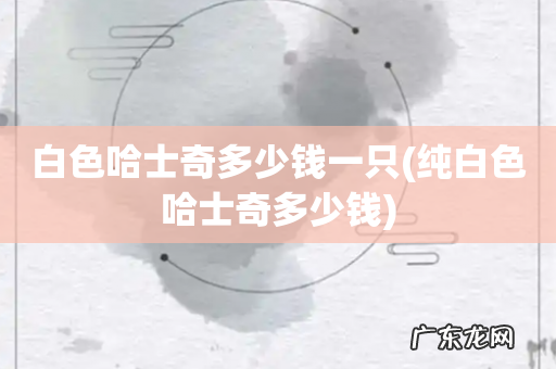 纯白色哈士奇多少钱 白色哈士奇多少钱一只