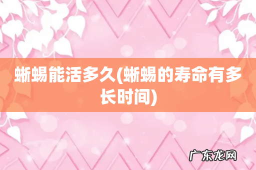 蜥蜴的寿命有多长时间 蜥蜴能活多久