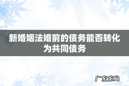 新婚姻法婚前的债务能否转化为共同债务