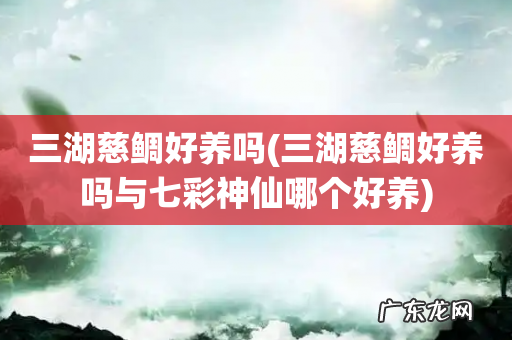 三湖慈鲷好养吗与七彩神仙哪个好养 三湖慈鲷好养吗