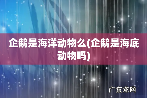企鹅是海底动物吗 企鹅是海洋动物么