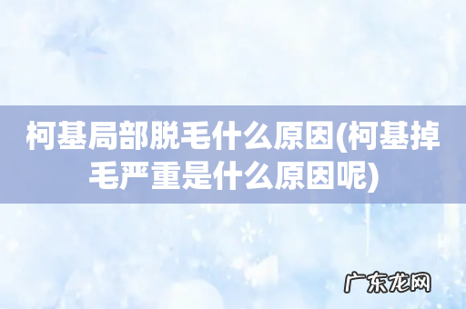 柯基掉毛严重是什么原因呢 柯基局部脱毛什么原因
