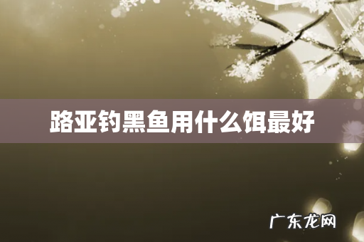 路亚钓黑鱼用什么饵最好