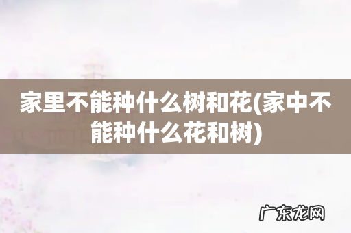 家中不能种什么花和树 家里不能种什么树和花