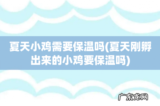 夏天刚孵出来的小鸡要保温吗 夏天小鸡需要保温吗