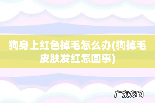 狗掉毛皮肤发红怎回事 狗身上红色掉毛怎么办