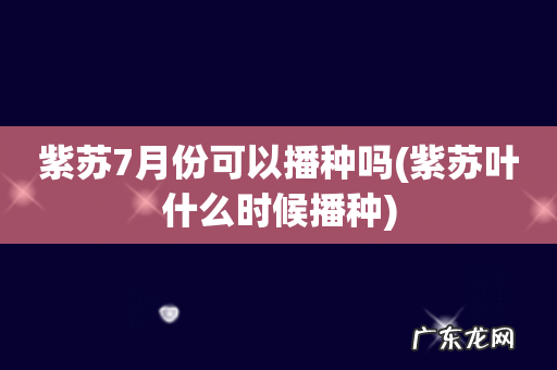 紫苏叶什么时候播种 紫苏7月份可以播种吗