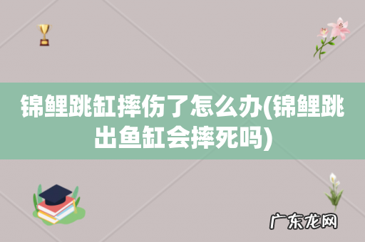 锦鲤跳出鱼缸会摔死吗 锦鲤跳缸摔伤了怎么办
