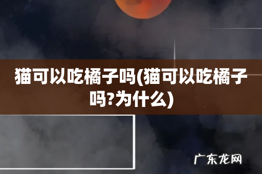 猫可以吃橘子吗?为什么 猫可以吃橘子吗