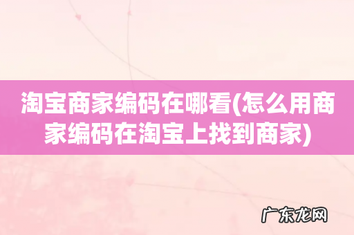 怎么用商家编码在淘宝上找到商家 淘宝商家编码在哪看