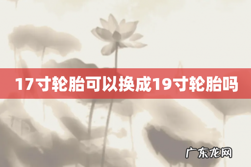17寸轮胎可以换成19寸轮胎吗