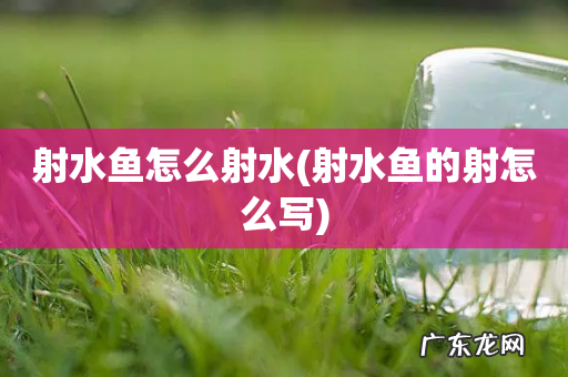 射水鱼的射怎么写 射水鱼怎么射水