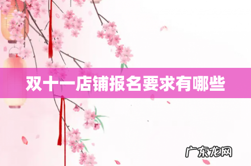 双十一店铺报名要求有哪些