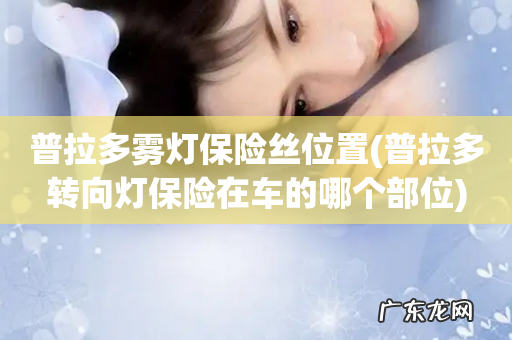 普拉多转向灯保险在车的哪个部位 普拉多雾灯保险丝位置