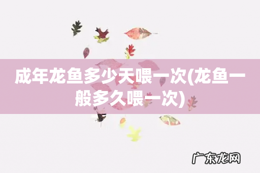 龙鱼一般多久喂一次 成年龙鱼多少天喂一次