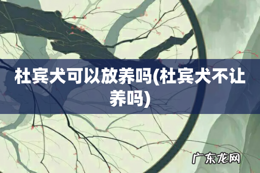 杜宾犬不让养吗 杜宾犬可以放养吗