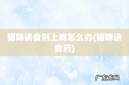 猫咪诱食药 猫咪诱食剂上瘾怎么办