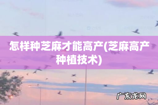 芝麻高产种植技术 怎样种芝麻才能高产