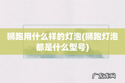 狮跑灯泡都是什么型号 狮跑用什么样的灯泡