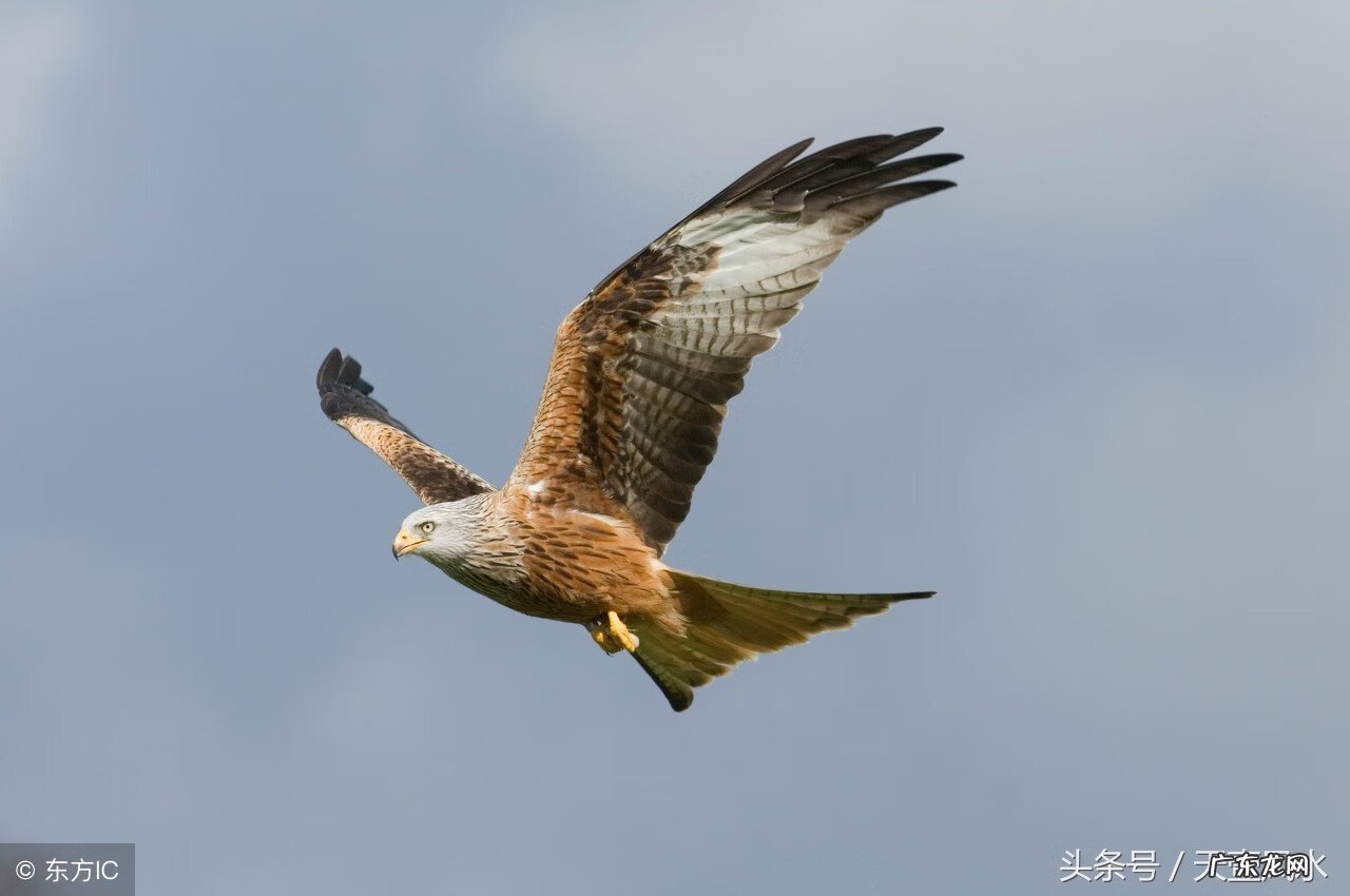 床头山水画讲究 床头挂山水画风水好吗