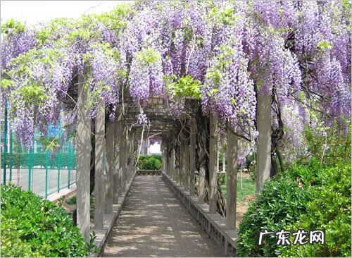 山顶建亭子风水学说 建亭子的风水