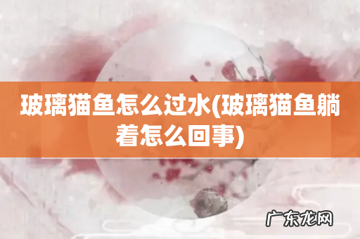 玻璃猫鱼躺着怎么回事 玻璃猫鱼怎么过水