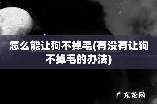 有没有让狗不掉毛的办法 怎么能让狗不掉毛