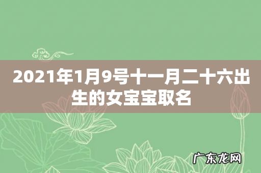 2021年1月9号十一月二十六出生的女宝宝取名