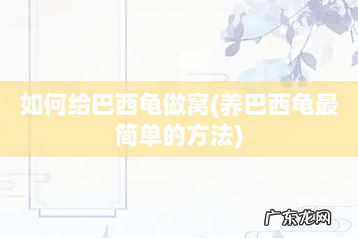 养巴西龟最简单的方法 如何给巴西龟做窝