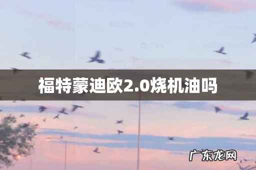 福特蒙迪欧2.0烧机油吗