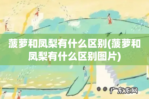 菠萝和凤梨有什么区别图片 菠萝和凤梨有什么区别