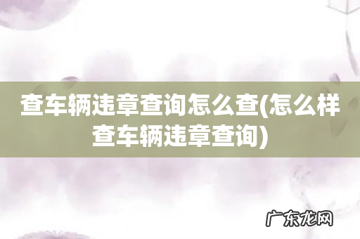 怎么样查车辆违章查询 查车辆违章查询怎么查