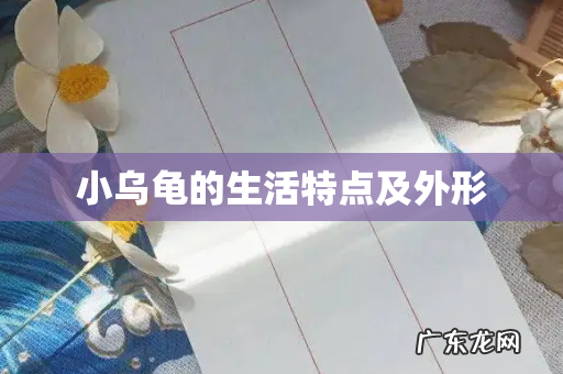 小乌龟的生活特点及外形