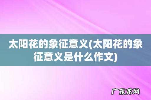 太阳花的象征意义是什么作文 太阳花的象征意义