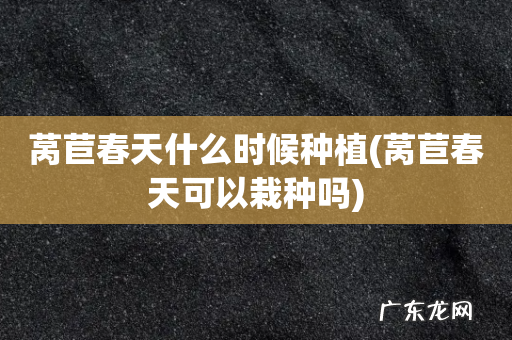 莴苣春天可以栽种吗 莴苣春天什么时候种植