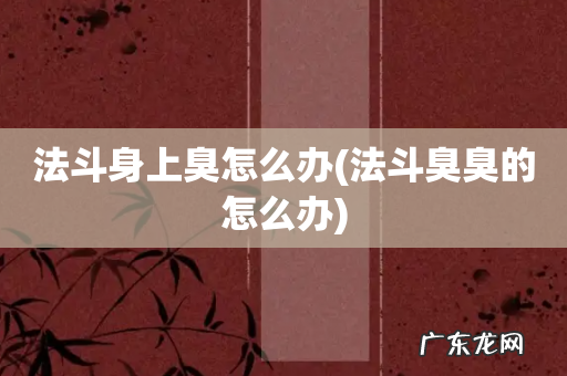 法斗臭臭的怎么办 法斗身上臭怎么办