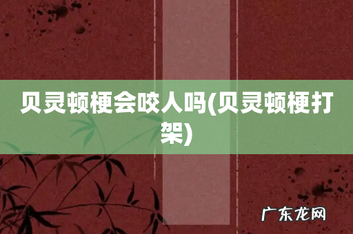 贝灵顿梗打架 贝灵顿梗会咬人吗