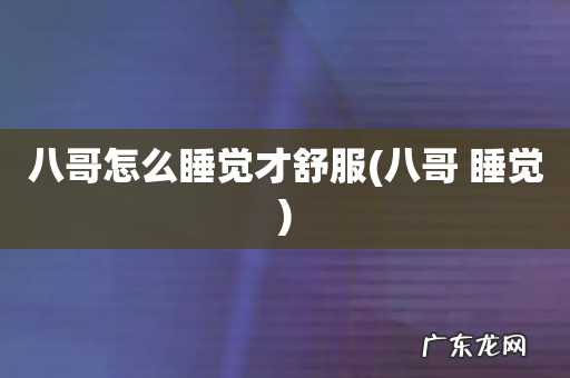 八哥 睡觉 八哥怎么睡觉才舒服