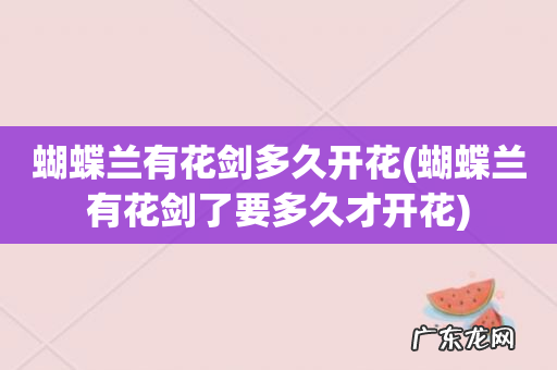 蝴蝶兰有花剑了要多久才开花 蝴蝶兰有花剑多久开花