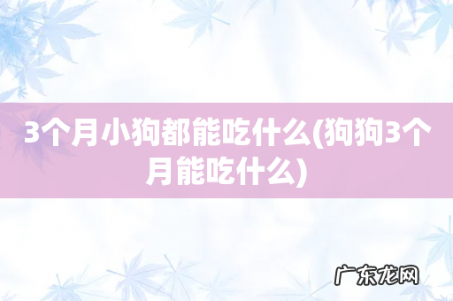 狗狗3个月能吃什么 3个月小狗都能吃什么