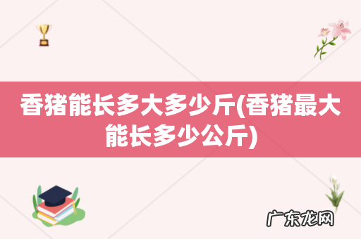 香猪最大能长多少公斤 香猪能长多大多少斤
