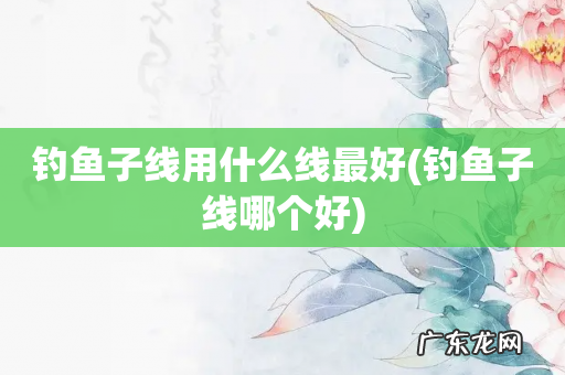 钓鱼子线哪个好 钓鱼子线用什么线最好