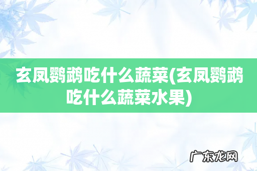 玄凤鹦鹉吃什么蔬菜水果 玄凤鹦鹉吃什么蔬菜