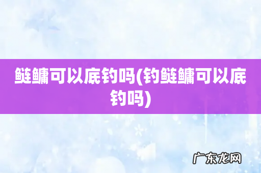 钓鲢鳙可以底钓吗 鲢鳙可以底钓吗