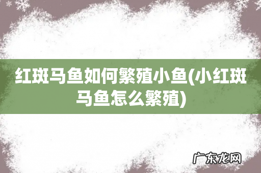 小红斑马鱼怎么繁殖 红斑马鱼如何繁殖小鱼